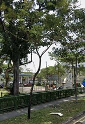 Blk 203 Marsiling Admiralty Park (Woodlands), HDB Executive #469962331